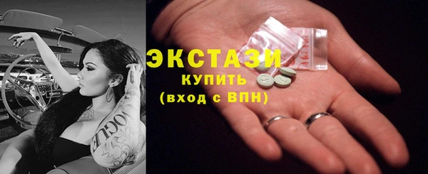 ECSTASY Богданович
