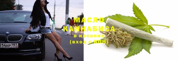 ECSTASY Богданович