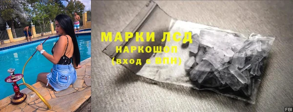 ECSTASY Богданович