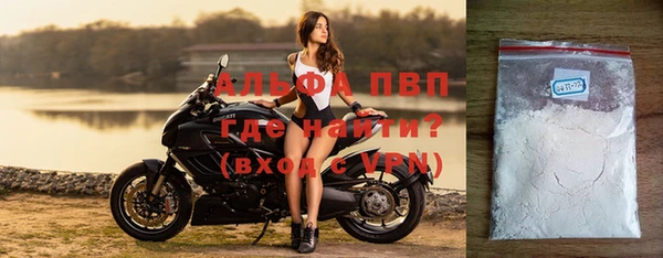 ECSTASY Богданович